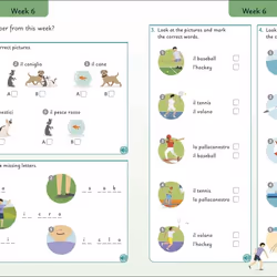 ISBN Italian for Everyone Junior: 5 Words a Day livre référence & langage Anglais Livre broché 240 pages - Vue supplémentaire 5