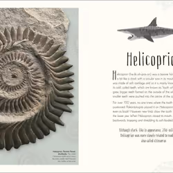ISBN Dinosaurs and Other Prehistoric Life livre Dinosaures Anglais Couverture rigide