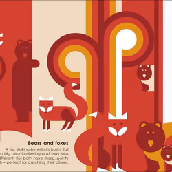 ISBN Hidden Animals livre enfants & adolescents Anglais Couverture rigide