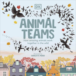 ISBN Animal Teams livre Education Anglais