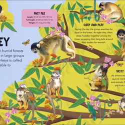 ISBN Animal Teams livre Education Anglais