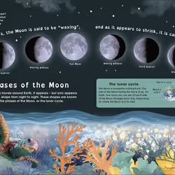 ISBN The Moon livre enfants & adolescents Anglais Couverture rigide