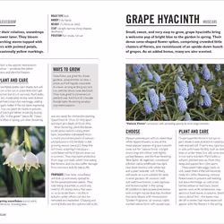 ISBN Grow Bulbs