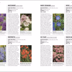 ISBN Grow Low Maintenance livre maison & jardin Anglais