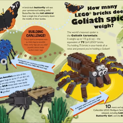 ISBN LEGO Amazing But True – Fun Facts About the LEGO World and Our Own! livre enfants & adolescents Anglais Couverture rigide