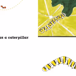 ISBN Roxy the Butterfly livre enfants & adolescents Anglais Couverture rigide