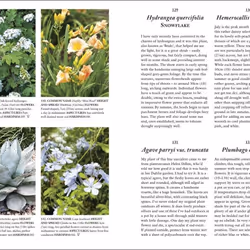 ISBN RHS A Plant for Every Day of the Year Couverture rigide