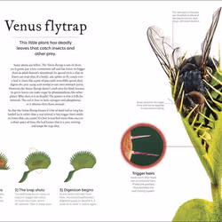 ISBN The Secret World of Plants Couverture rigide