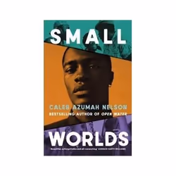ISBN Small Worlds, Roman, Anglais, Couverture rigide, 258 pages