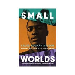ISBN Small Worlds livre Roman Anglais Couverture rigide