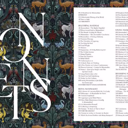 ISBN More More More livre métier & loisirs Anglais Couverture rigide