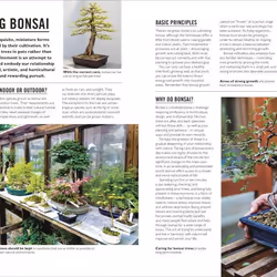 ISBN Grow Bonsai