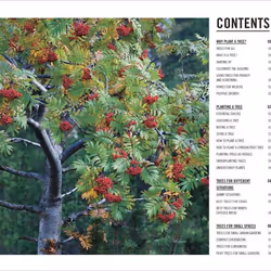 ISBN Grow Trees