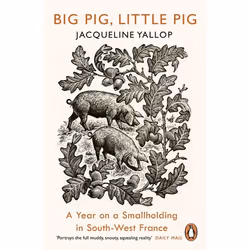 ISBN Big Pig, Little Pig, Anglais, Livre broché, 240 pages