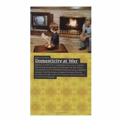 ISBN Domesticity at War, Education, Anglais, Couverture rigide, 400 pages
