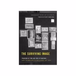 ISBN Surviving Image, Art &amp; design, Anglais, Livre broché, 432 pages