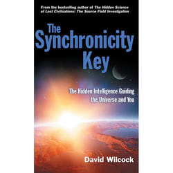 Allen & Unwin The Synchronicity Key livre Santé, esprit et corps Anglais
