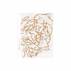 ISBN Roni Horn: When I Breathe, I Draw, Art &amp; design, Anglais, 192 pages