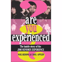ISBN Are You Experienced?, Education, Anglais, Livre broché, 260 pages
