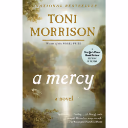 ISBN A Mercy, Anglais, Livre broché, 208 pages