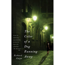ISBN The Color of A Dog Running Away livre Mystère et suspense Anglais