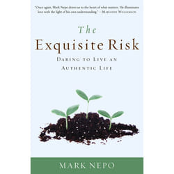 ISBN The Exquisite Risk livre