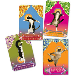 Cat Yoga Postcards by Rick Tillotson