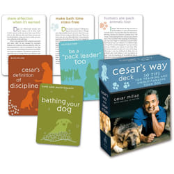 Cesars Way Deck by Cesar Millan