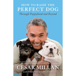 ISBN How to Raise the Perfect Dog livre