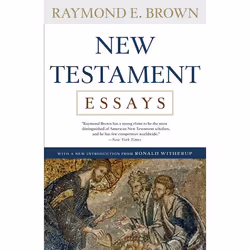 ISBN New Testament Essays, Livre broché, 368 pages