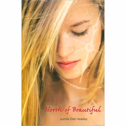 ISBN North of Beautiful, Anglais, Couverture rigide, 373 pages