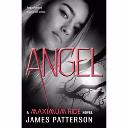 ISBN Angel, Thrillers, Anglais, Couverture rigide, 320 pages