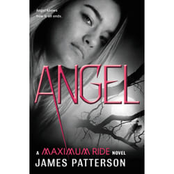 ISBN Angel livre Thrillers Anglais Couverture rigide 320 pages