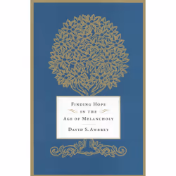 ISBN Finding Hope in the Age of Melancholy, Psychologie, Anglais, Couverture rigide, 272 pages