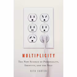 ISBN Multiplicity, Education, Anglais, Couverture rigide, 288 pages