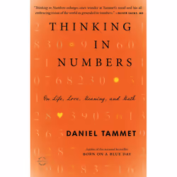ISBN Thinking In Numbers, Anglais, Livre broché, 304 pages