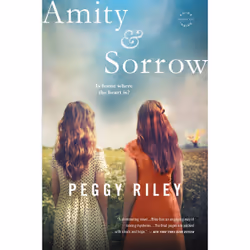 ISBN Amity &amp; Sorrow, Anglais, Livre broché, 336 pages