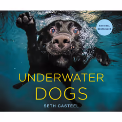 ISBN Underwater Dogs, Education, Anglais, Couverture rigide, 144 pages