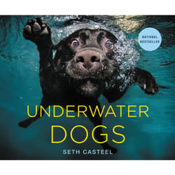 ISBN Underwater Dogs livre Education Anglais Couverture rigide