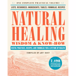 ISBN Natural Healing Wisdom &amp; Know How, Santé, esprit et corps, Anglais, Livre broché, 912 pages