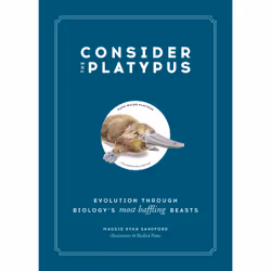 ISBN Consider the Platypus, Education, Anglais, Couverture rigide, 272 pages