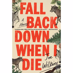 ISBN Fall Back Down When I Die, Anglais, Livre broché, 256 pages