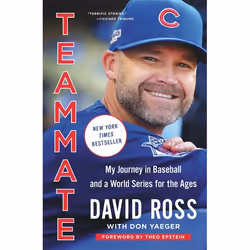 Hachette UK Teammate, Anglais, Livre broché, 272 pages