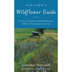ISBN Newcomb's Wildflower Guide, Education, Anglais, Livre broché, 490 pages