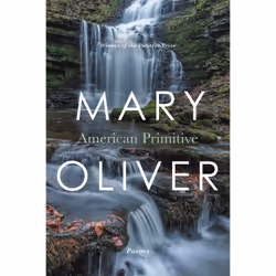 ISBN American Primitive, poésie, Anglais, Livre broché, 88 pages