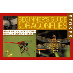 ISBN Stokes Beginner's Guide to Dragonflies livre Education Anglais
