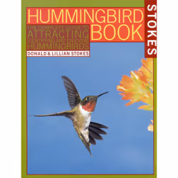 ISBN The Hummingbird Book, Anglais, Livre broché, 89 pages