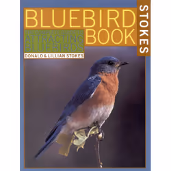 ISBN The Bluebird Book, Anglais, Livre broché, 96 pages