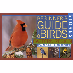 ISBN Stokes Beginner's Guide to Birds, Anglais, Livre broché, 144 pages