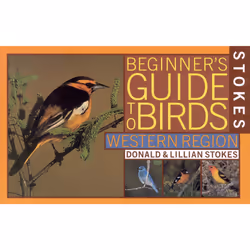 ISBN Stokes Beginner's Guide to Birds, Anglais, Livre broché, 144 pages